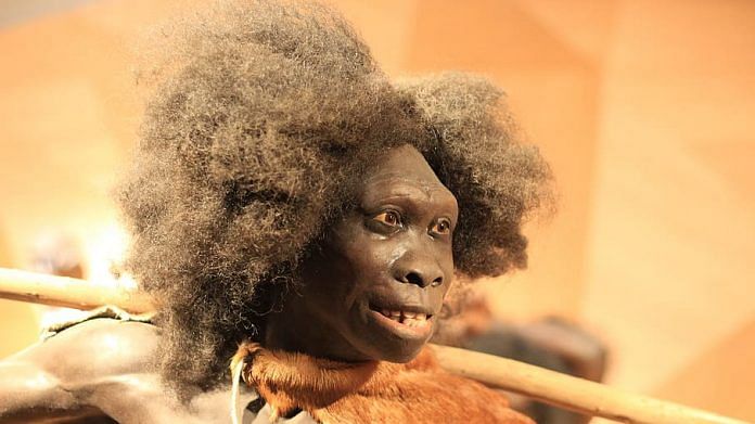 A representation of what a prehistoric woman from the stone age may have looked like | Commons