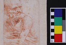 Leonardo Da Vinci's 'Uomo Della Bitta', which was among the works analysed for microbes. | Photo: Study authors