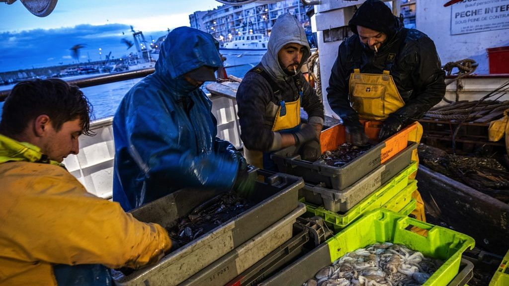 Fishermen sort and clean freshly catch fish in the harbor in Sete, France, on Dec. 1, 2020. | Bloomberg