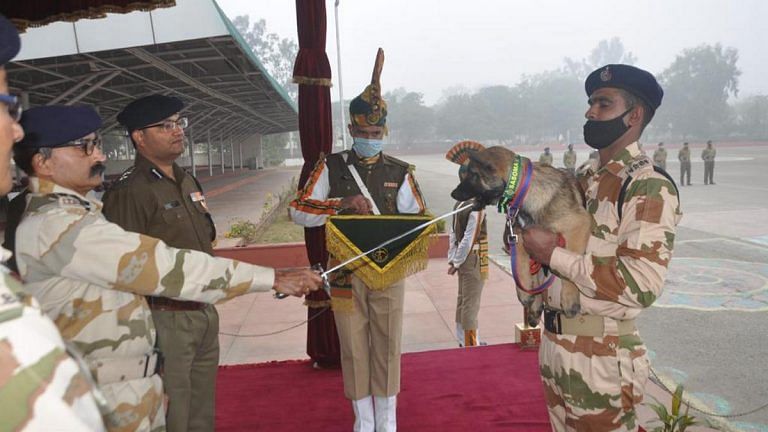 Meet Galwan, Rezang, Daulat, ITBP’s K9 warrior pups named after strategic locations along LAC