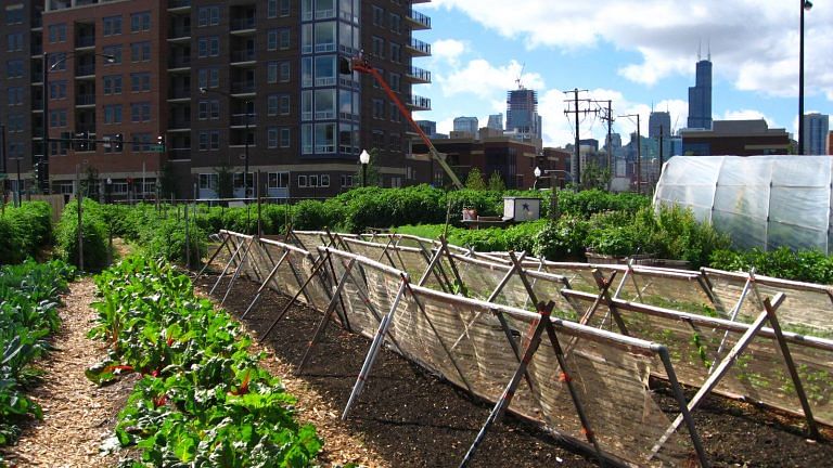 Want to do urban farming without getting your hands dirty? This Belgian startup can help