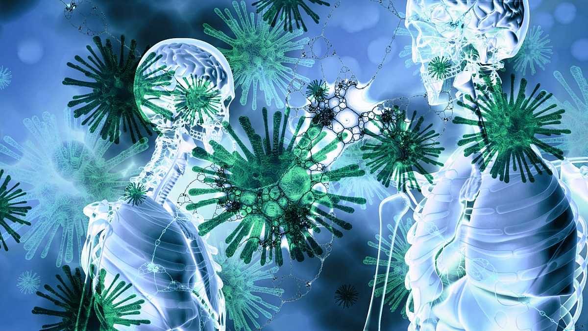 immune-cells-in-human-body-could-make-effects-of-lung-diseases-worse