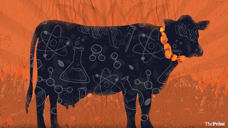 Cow is a constant cool in Indian politics. But BJP’s mix of faith and science troubling