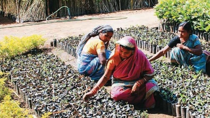 Women working on a project under MGNREGA | MGNREGA report
