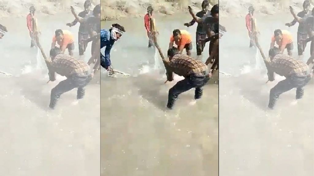 Horrifying Video Shows Two Men Torturing an Infant Dolphin in West Bengal -  News18