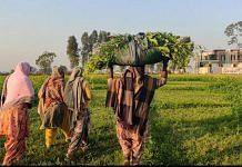 Representational image of women farmers in Patiala | Photo: Urjita Bhardwaj | ThePrint