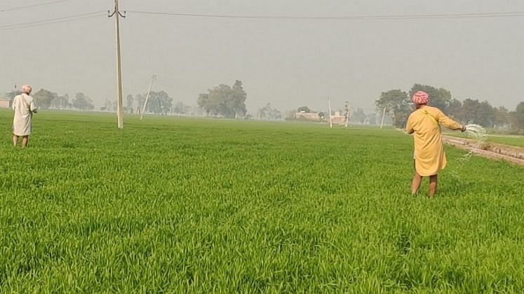 MSP, subsidies are at root of Punjab's farm crises but its farmers are ...