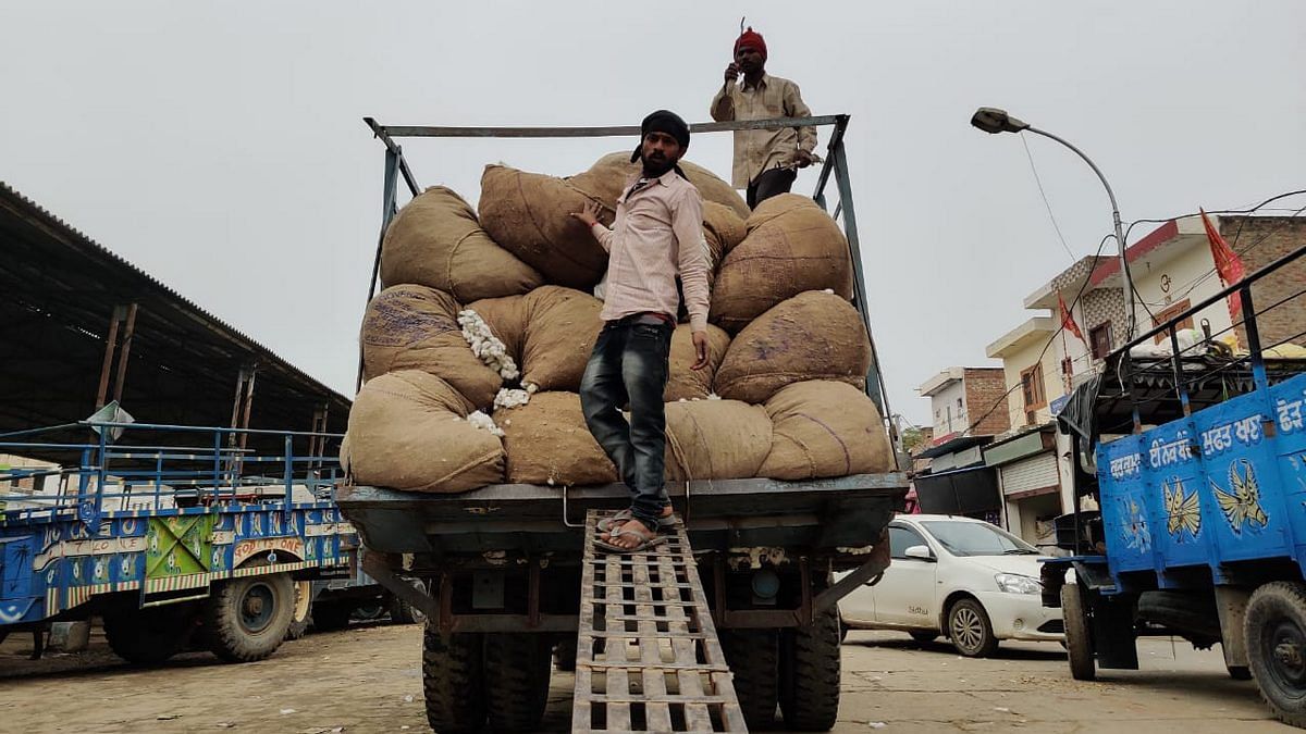 Representational image of workers unloading produce at a mandi | Photo: Urjita Bhardwaj | ThePrint