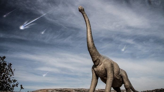Representational image of a dinosaur. | Photo: Pxhere