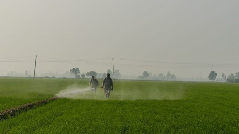 In Punjab’s rejection of Centre’s agri marketing policy, another showdown over APMCs in the making
