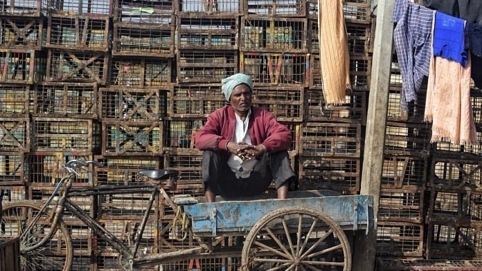 Representational image. | A poultry worker sits idle with empty cages at the Ghazipur market after reports of bird flu, in New Delhi. | Photo: ANI
