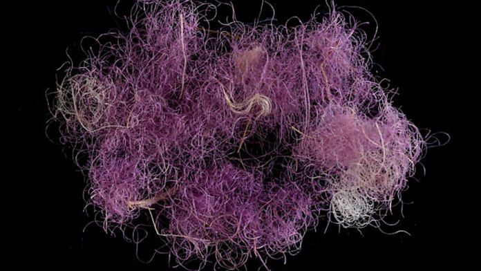 Researchers have found remnants of woven fabric, a tassel and fibres of wool dyed with royal purple from the Timna Valley in Israel | Illustration: Ramandeep Kaur