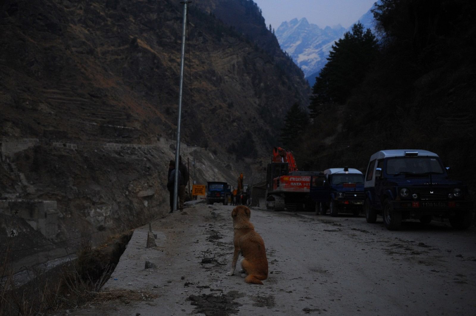 The Bhutia dog watches near Raini village has been unable to leave this spot even six days after the deluge washed away her puppies. | Photo: Suraj Singh Bisht/ThePrint