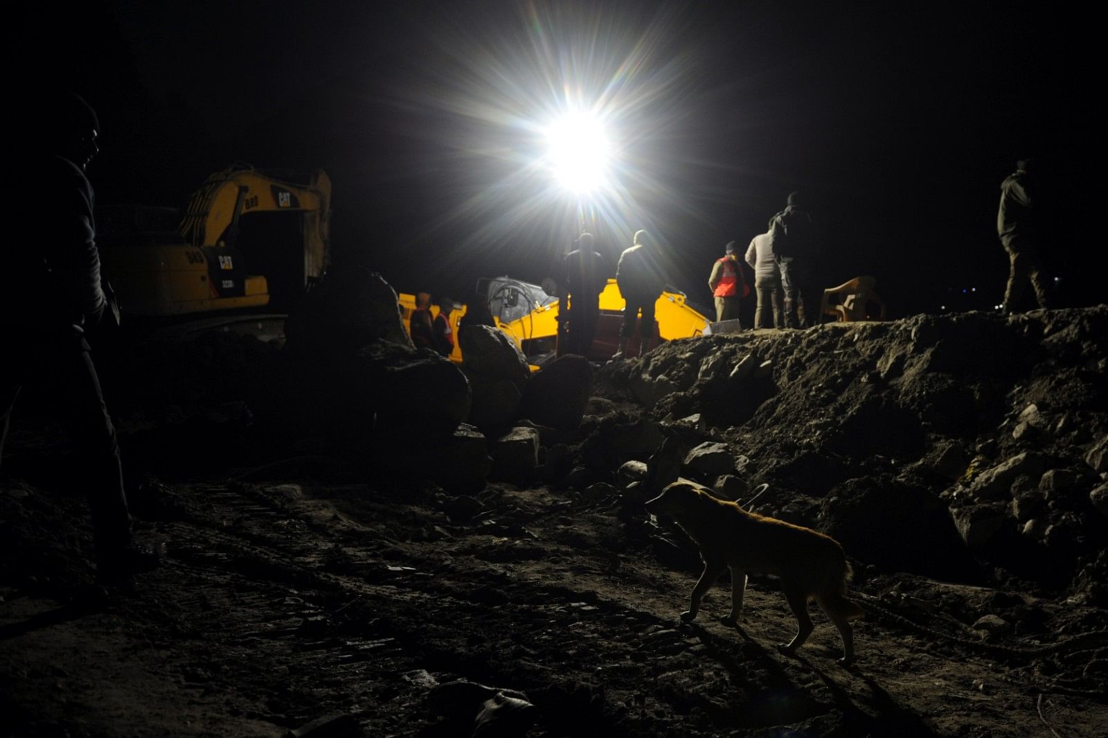 The dog at the disaster site where Border Roads Organisation is busy building a bridge that would allow access to the villages that had been cut off in the deluge. | Photo: Suraj Singh Bisht/ThePrint 
