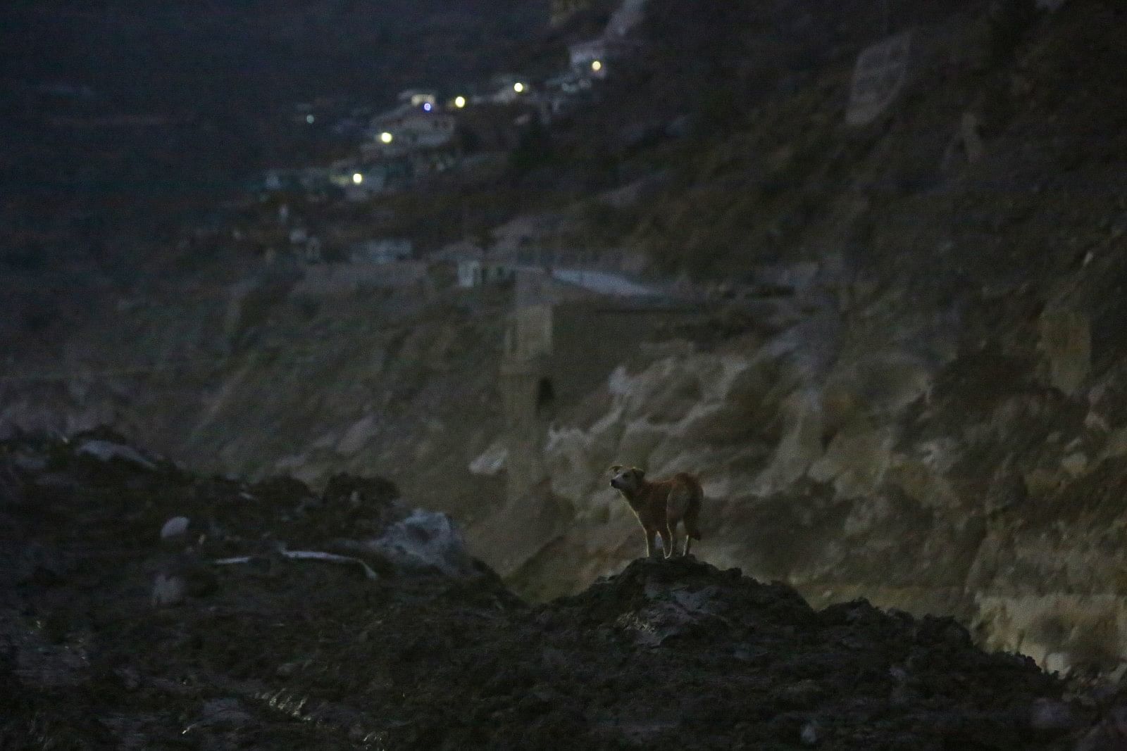 The dog desperately roams around the disaster site. | Photo: Suraj Singh Bisht/ThePrint