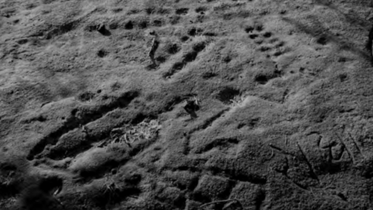 What lies beneath the JNU campus in Delhi