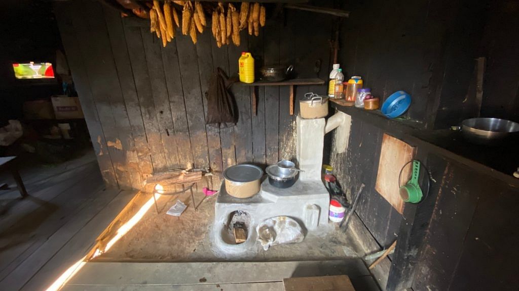 The improved cookstove | WWF