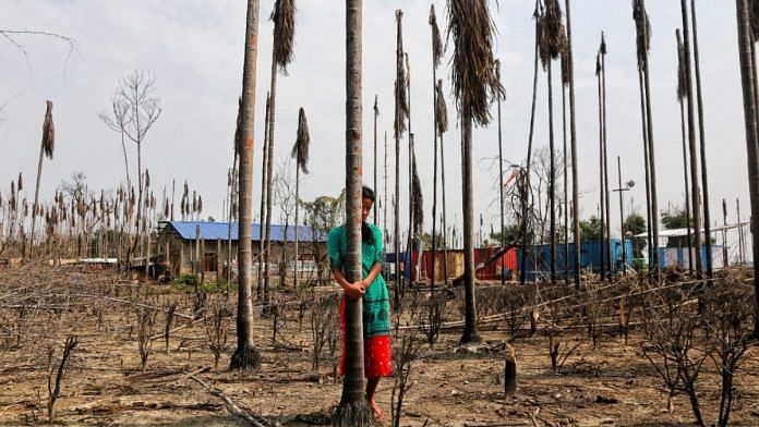 Toramoni sister Seema Sutia stands between the burnt tea plants while hugging betel palm tree | Photo: Manisha Mondal | ThePrint
