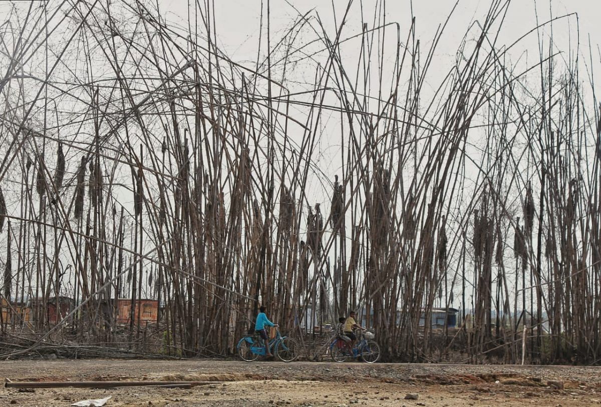 The indigenous bamboo trees that grew on the side of the road were burnt in the fire | Photo: Manisha Mondal | ThePrint