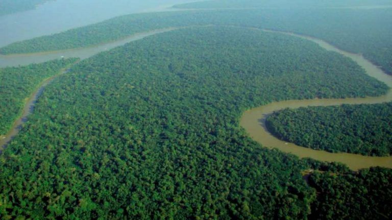 From Amazon to Congo, the world’s full of ‘irrecoverable carbon’ vaults we must protect