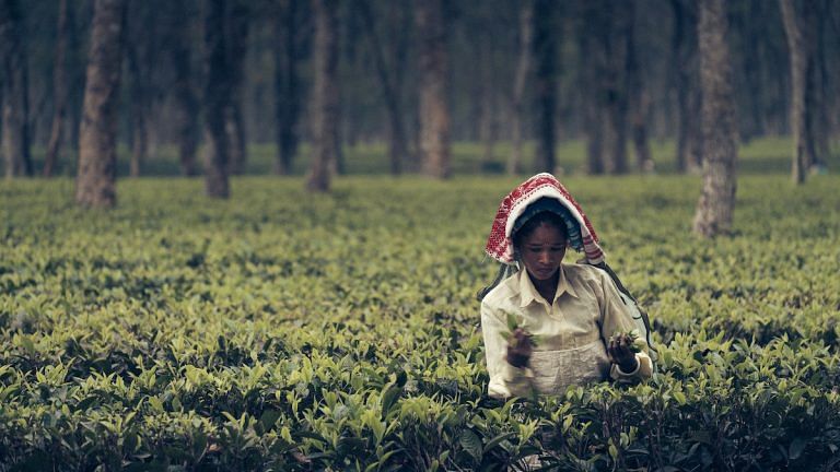 Only BJP has a plan for Assam’s tea workers. But 5 yrs showed Sonowal didn’t have the will