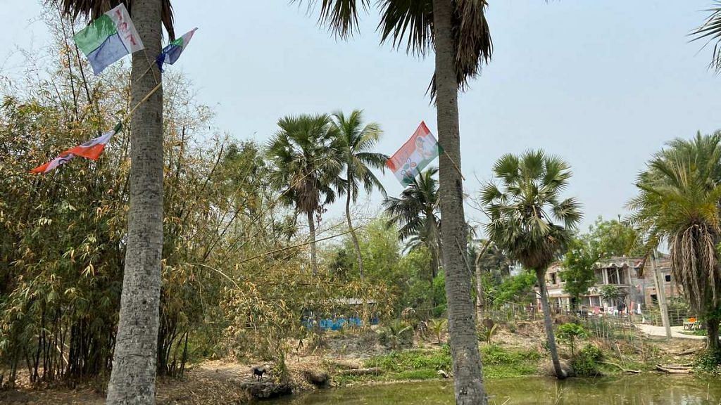 Flags of the Trinamool Congress and the Indian Secular Front tied to trees in a village in South 24 Parganas | Photo: Madhuparna Das | ThePrint