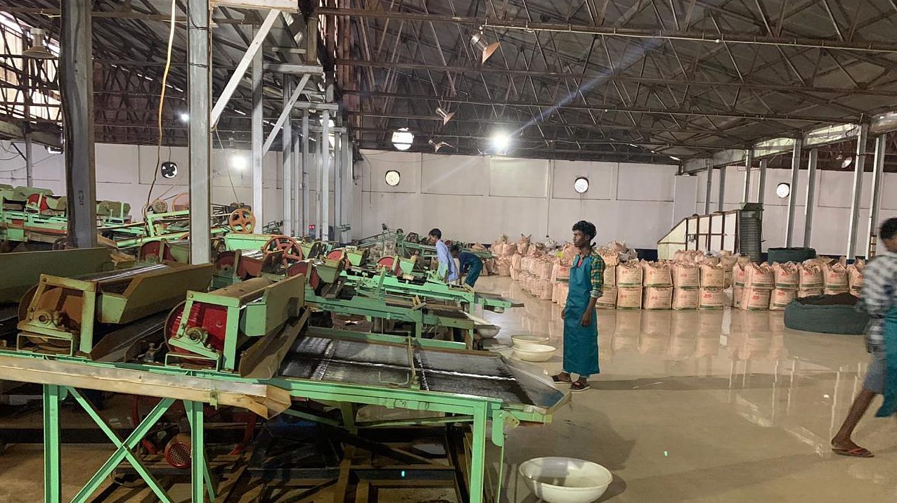 Workers at the Bokahola tea factory in Titabor, Jorhat. | Photo: Karishma Hasnat | ThePrint