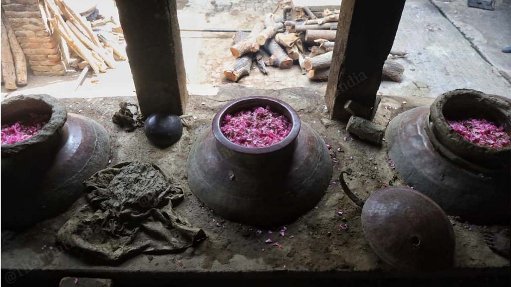 Pink roses being prepared for extraction of essential oils through hydro-distillation in Kannauj | Photo: Manisha Mondal | ThePrint
