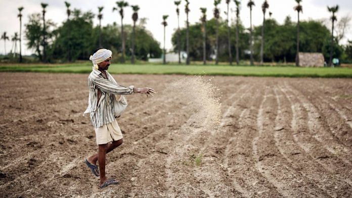 Representational image of a farmer applying powdered fertiliser over his farm | ANI