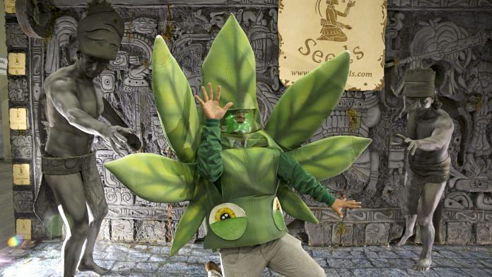 Inside Mexico's First Cannabis Expo Amid Marijuana Policy Changes An attendee dressed like a marijuana leaf stands with Pak' al Seeds mascots during the ExpoWeed exhibit at the World Trade Center in Mexico City, Mexico | Photographer: Susana Gonzalez | Bloomberg