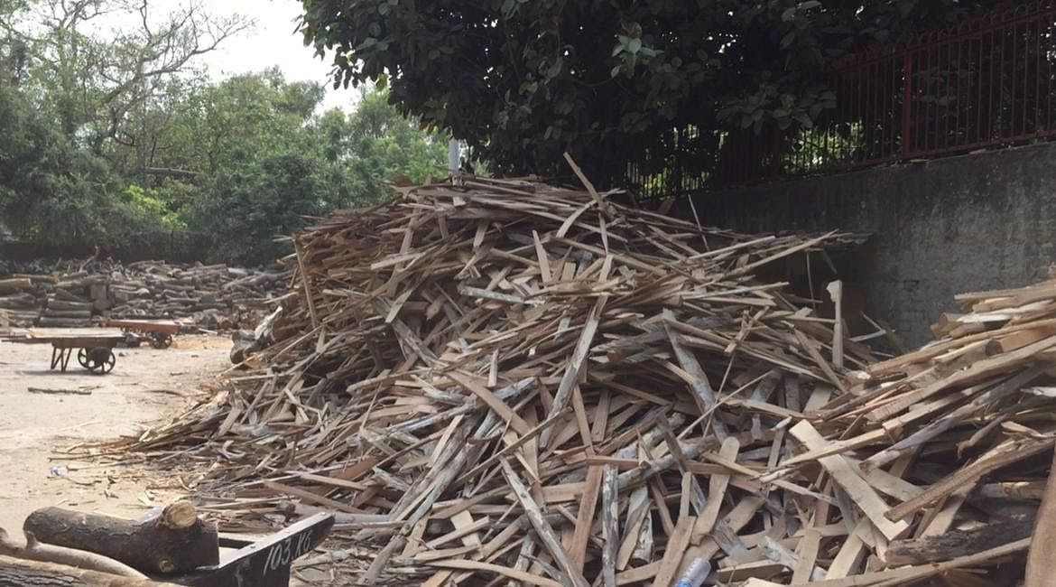 Stacks of wooden logs kept ready at Nigambodh Ghat amid fears of a further surge in Covid deaths in Delhi | Tenzin Zompa | ThePrint