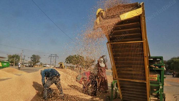 Workers at Rajpura mandi in Punjab put freshly harvested wheat in a cleaning machine | Representational image | Manisha Mondal | ThePrint