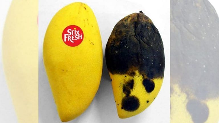 This simple sticker can add an extra 14 days of freshness to your fruits