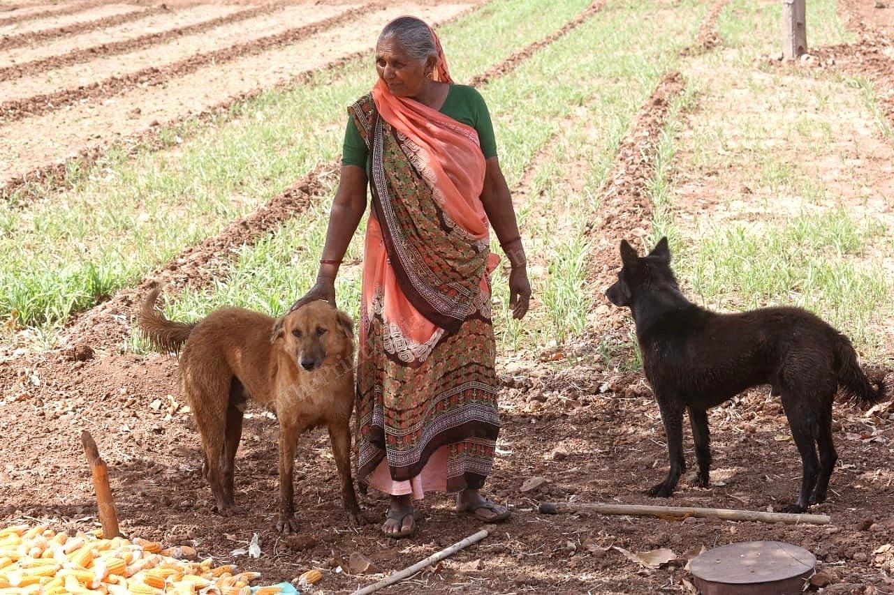 Labubehen Bhaliya of Vagnahiya village with her pet dogs | Praveen Jain | ThePrint 