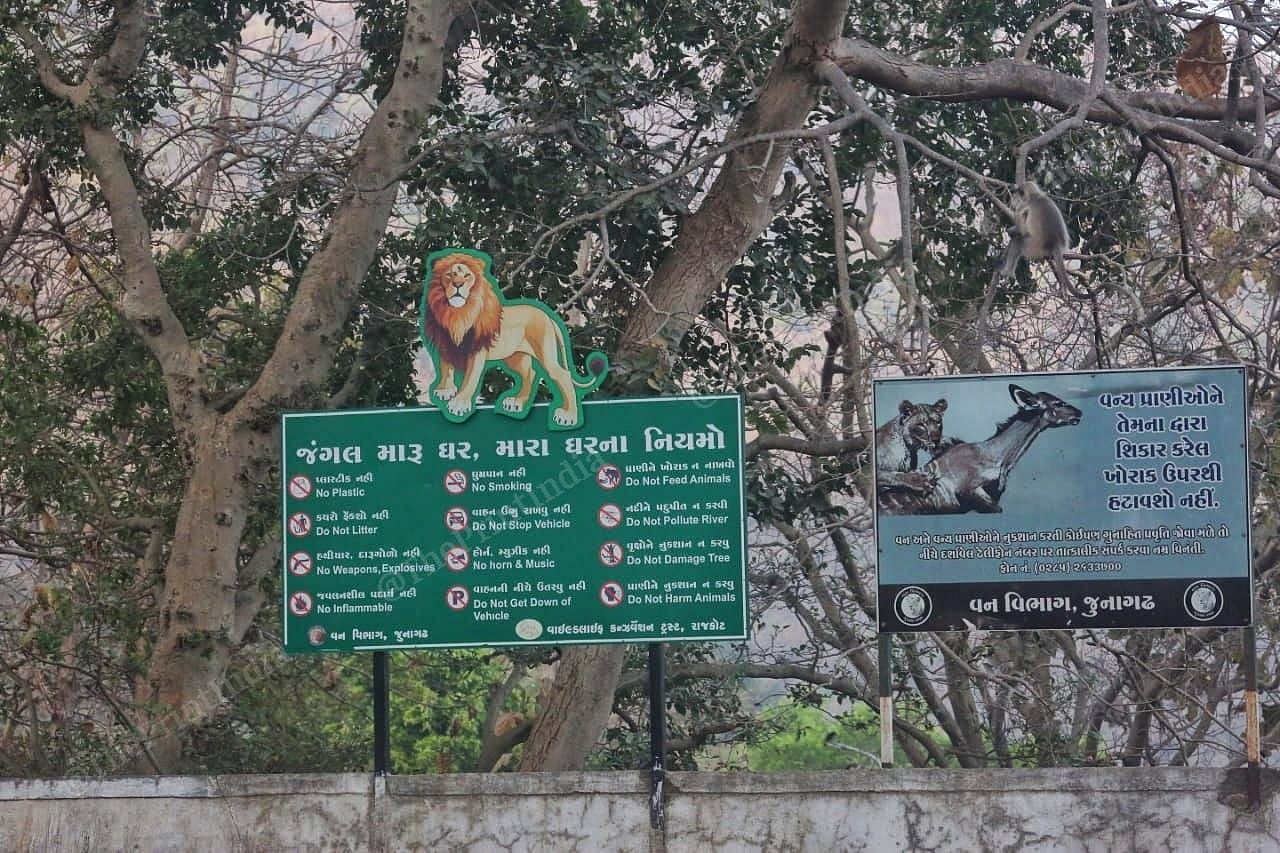 Welcome to the Girnar Wildlife Sanctuary | Praveen Jain | ThePrint