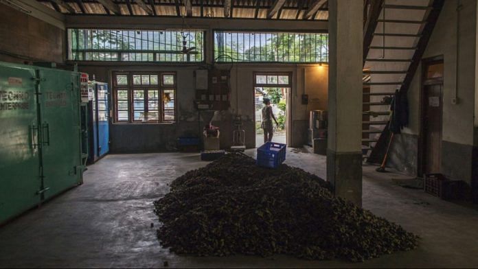 File photo | A pile of organic ginger lies on a warehouse floor in Rangpo, east Sikkim |Prashanth Vishwanathan/Bloomberg