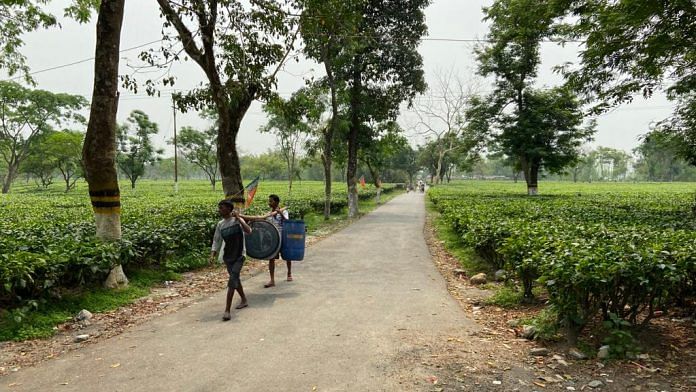 Workers in the 408 tea gardens in the 3 districts of Darjeeling, Alipurduar and Jalpaiguri and their workforce, are key to 16 assembly seats in this part of North Bengal | Photo: Madhuparna Das/ThePrint