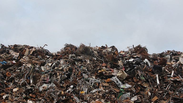 This startup reduced time taken to compost food from 2 years to 24 hours