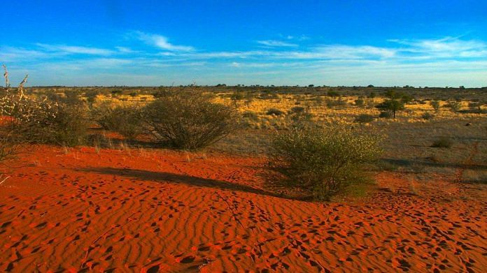 Kalahari Desert in Africa | Commons