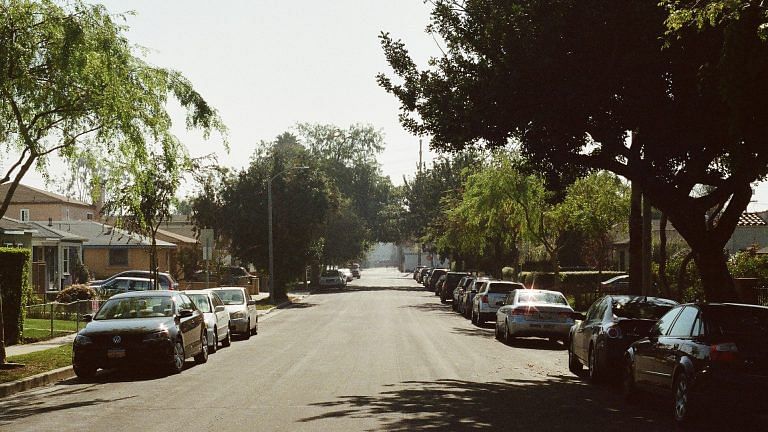 Street trees can reduce people’s need for antidepressants, says study