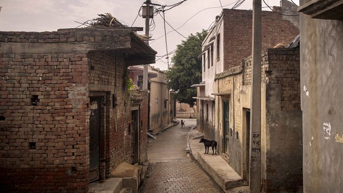 Dogs roam a deserted lane in Basi (Representational image) | Photographer: Anindito Mukherjee | Bloomberg
