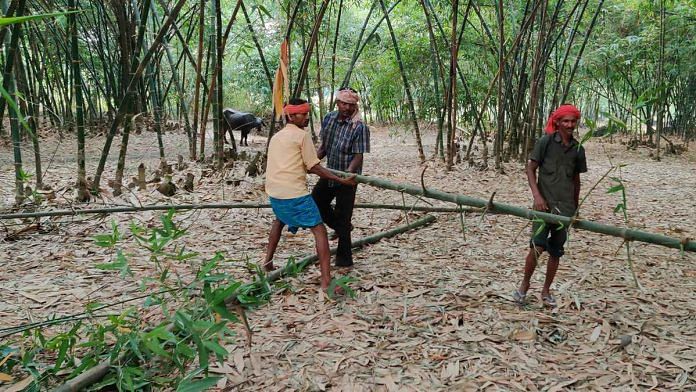 Labourers at work in a field in Muzaffarpur, Bihar | Sajid Ali | ThePrint