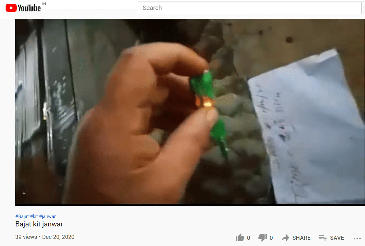 A screenshot of a video on 'electricity testing' pangolins on YouTube | Abhipasha Ghosh