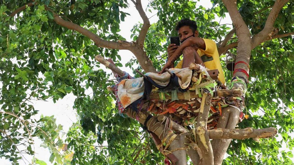 Shiva sits in his makeshift 'Covid isolation ward' — a mattress on a tree, in Nalagonda district, Telangana, in May 2021 | Manisha Mondal | ThePrint