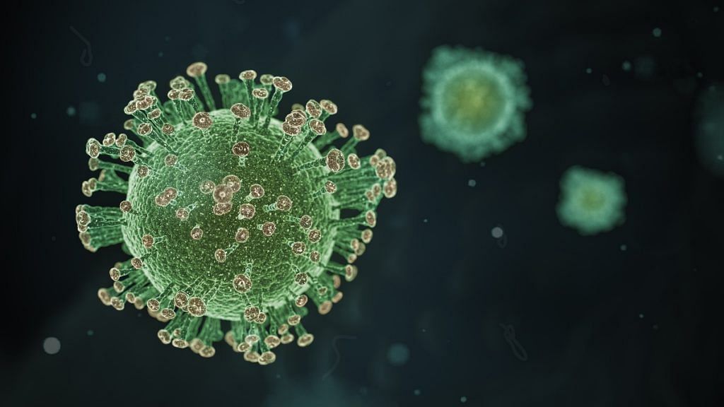 Representational image of the novel coronavirus | Flickr
