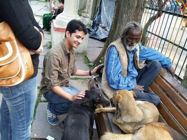 Dog with Blog built a niche following of pet lovers, a foster and adoption network