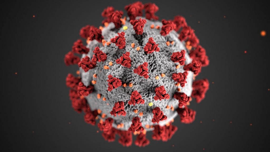 Coronavirus | Representational image | Pexels