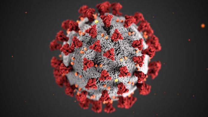 Coronavirus | Representational image | Pexels