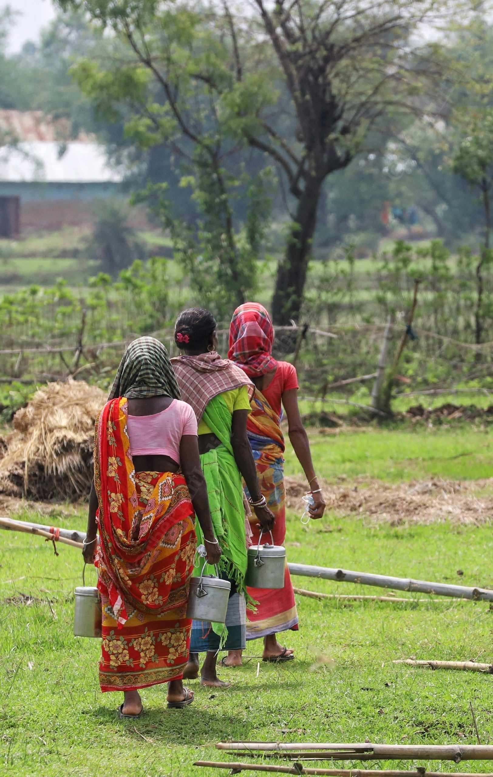 After filling the lunch boxes, group of women walk across the field towards their home | Photo: Manisha Mondal | ThePrint