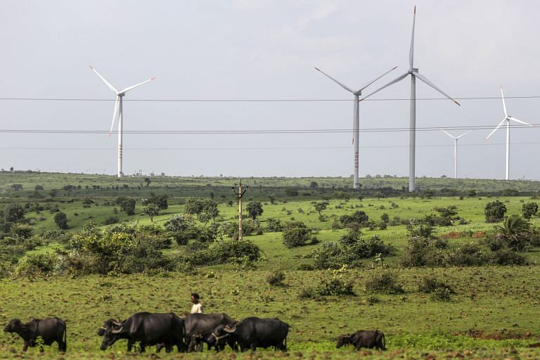 Renewables were the world’s cheapest source of energy in 2020, report shows